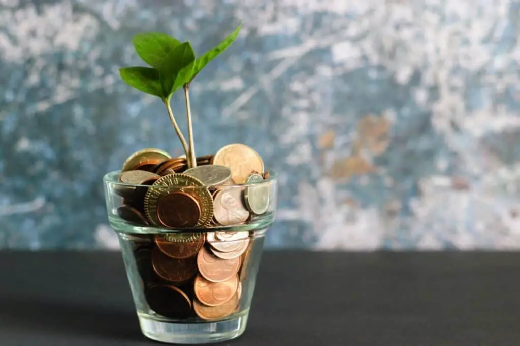 Plant growing in jar of copper coins.